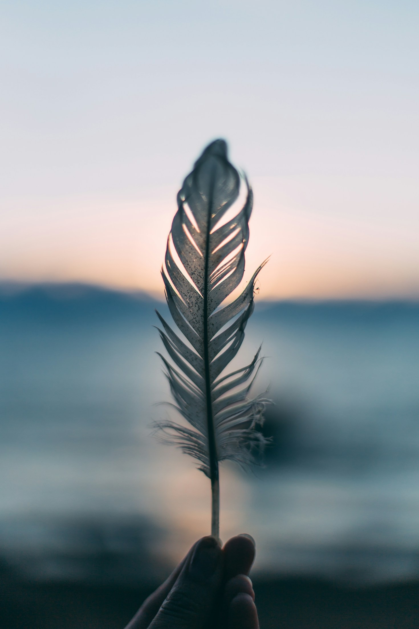 Beginner’s Mind: A Journey to Inner Peace