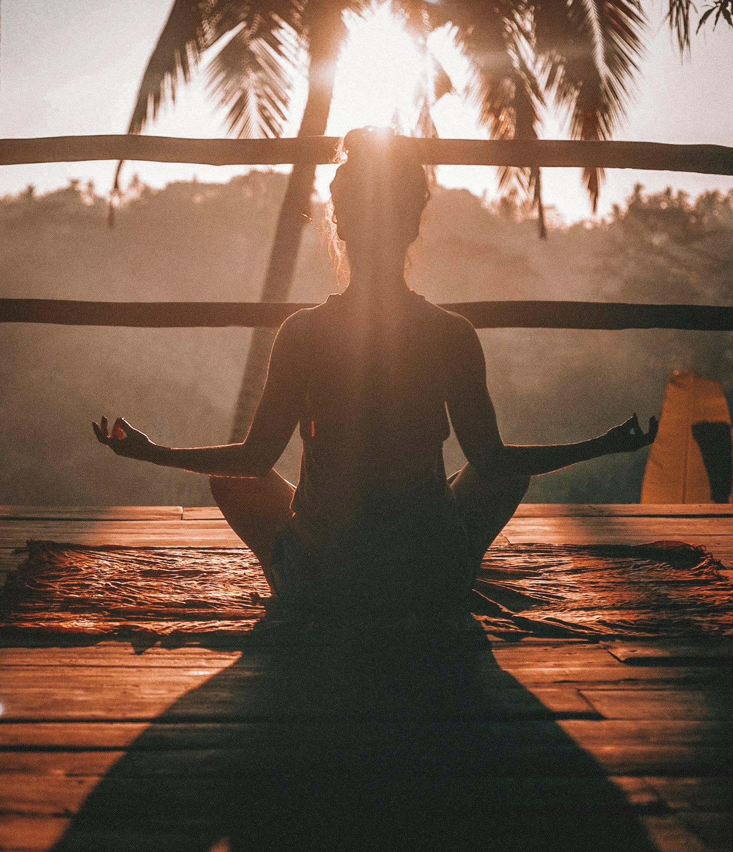 Exploring the Art of Staying Open to Life’s Lessons